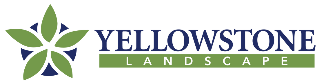 Yellowstone Landscape